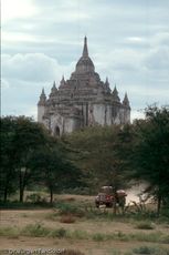1079_Burma_1985.jpg